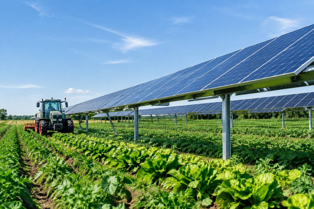Agrivoltaïsme : avantages et inconvénients pour l’agriculture et la production solaire