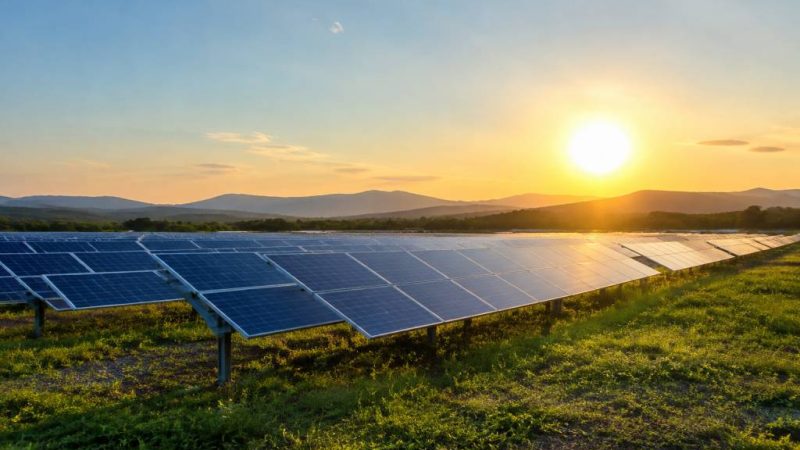 Centrale solaire au sol : fonctionnement, coûts et rentabilité d’un projet photovoltaïque